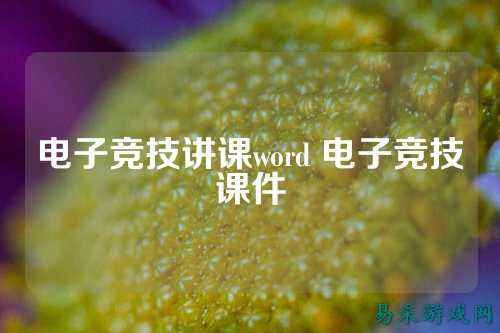 电子竞技讲课word 电子竞技课件