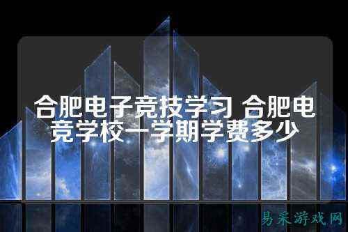 合肥电子竞技学习 合肥电竞学校一学期学费多少
