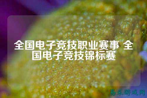 全国电子竞技职业赛事 全国电子竞技锦标赛