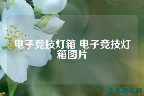 电子竞技灯箱 电子竞技灯箱图片