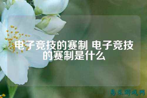 电子竞技的赛制 电子竞技的赛制是什么
