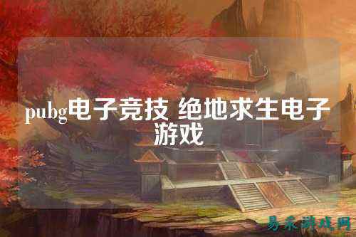 pubg电子竞技 绝地求生电子游戏