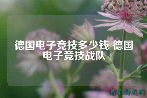 德国电子竞技多少钱 德国电子竞技战队