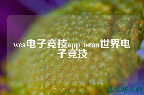 wca电子竞技app wcaa世界电子竞技