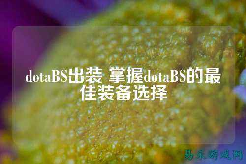 dotaBS出装 掌握dotaBS的最佳装备选择