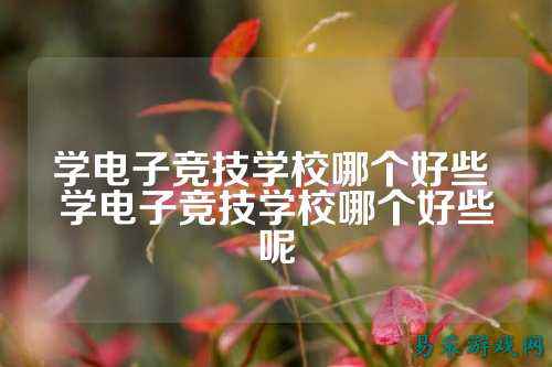 学电子竞技学校哪个好些 学电子竞技学校哪个好些呢