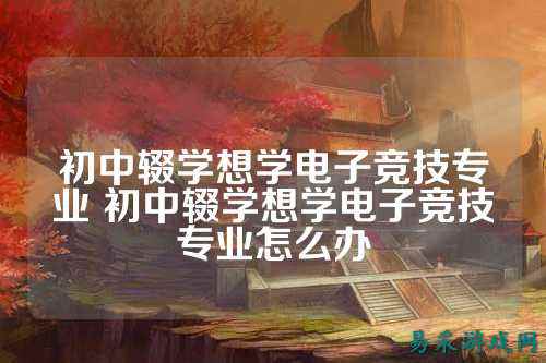 初中辍学想学电子竞技专业 初中辍学想学电子竞技专业怎么办