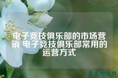 电子竞技俱乐部的市场营销 电子竞技俱乐部常用的运营方式