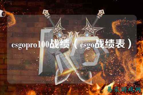 csgopro100战绩(csgo战绩表)