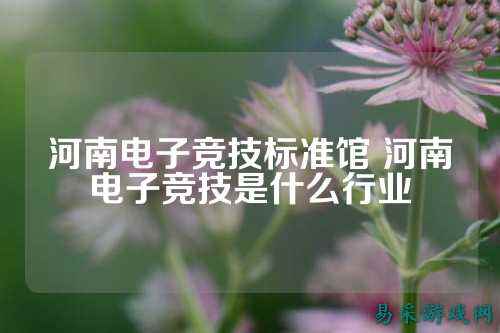 河南电子竞技标准馆 河南电子竞技是什么行业