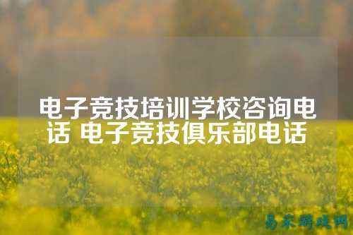电子竞技培训学校咨询电话 电子竞技俱乐部电话