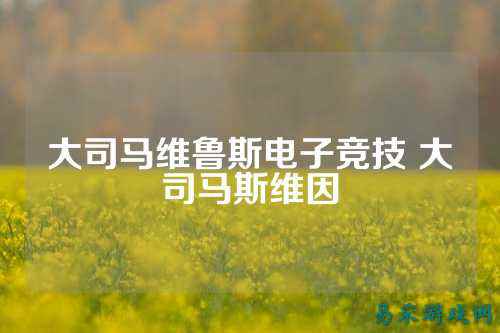 大司马维鲁斯电子竞技 大司马斯维因