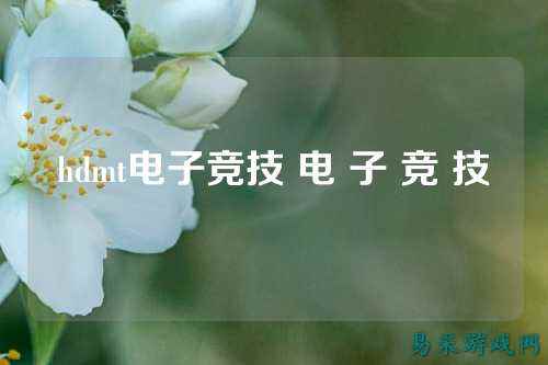 hdmt电子竞技 电 子 竞 技
