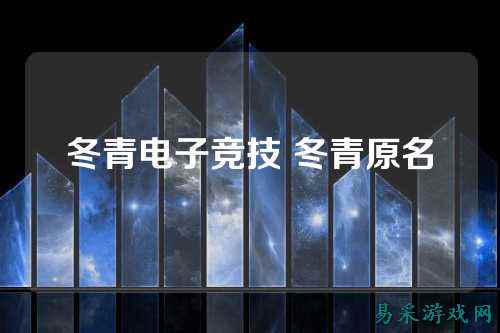 冬青电子竞技 冬青原名