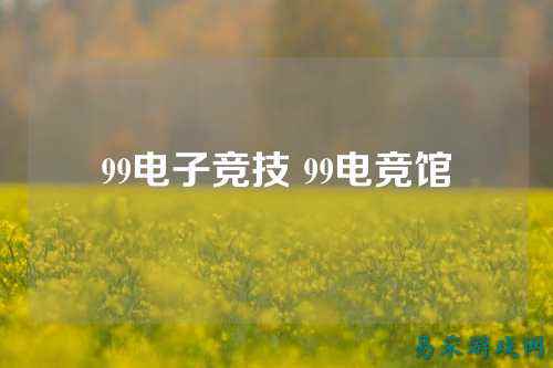 99电子竞技 99电竞馆