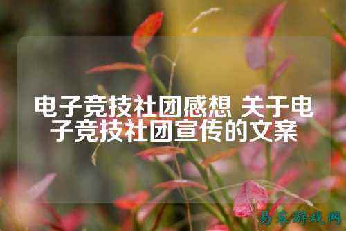 电子竞技社团感想 关于电子竞技社团宣传的文案