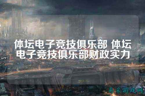 体坛电子竞技俱乐部 体坛电子竞技俱乐部财政实力