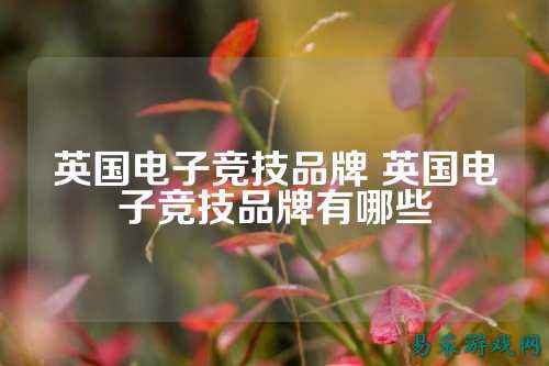 英国电子竞技品牌 英国电子竞技品牌有哪些