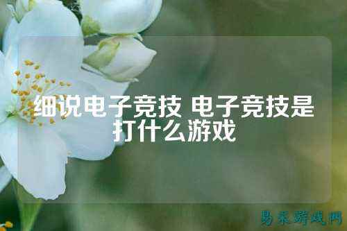 细说电子竞技 电子竞技是打什么游戏