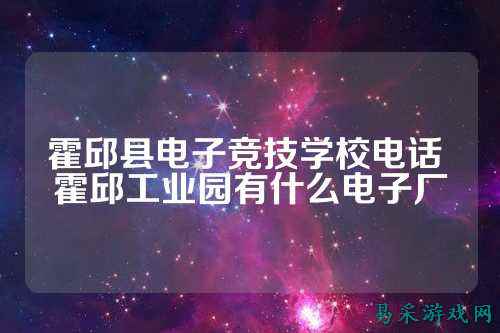 霍邱县电子竞技学校电话 霍邱工业园有什么电子厂