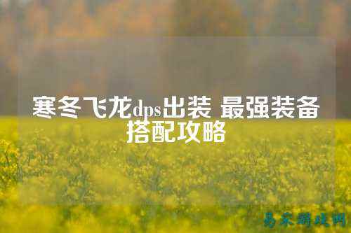 寒冬飞龙dps出装 最强装备搭配攻略
