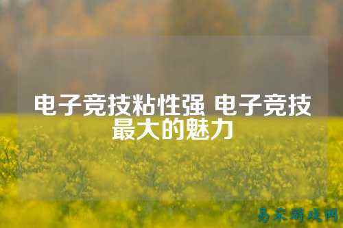 电子竞技粘性强 电子竞技最大的魅力