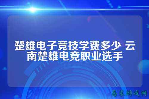 楚雄电子竞技学费多少 云南楚雄电竞职业选手