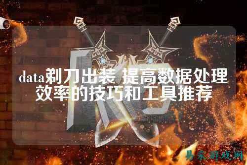 data剃刀出装 提高数据处理效率的技巧和工具推荐