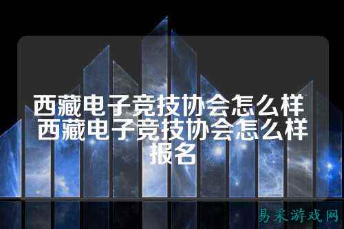 西藏电子竞技协会怎么样 西藏电子竞技协会怎么样报名