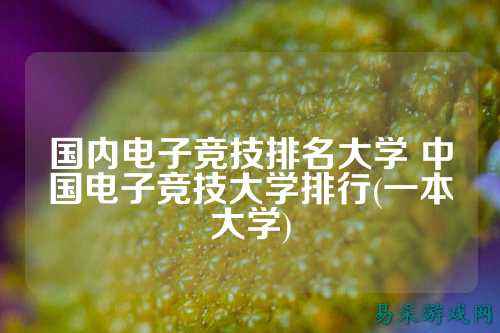 国内电子竞技排名大学 中国电子竞技大学排行(一本大学)