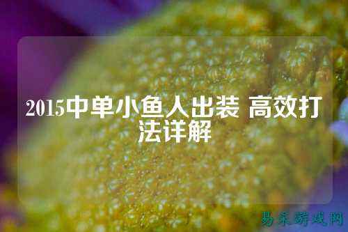 2015中单小鱼人出装 高效打法详解