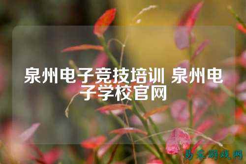 泉州电子竞技培训 泉州电子学校官网