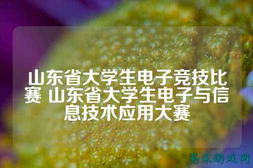 山东省大学生电子竞技比赛 山东省大学生电子与信息技术应用大赛