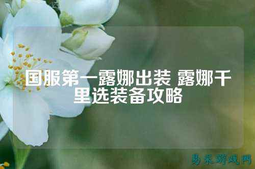 国服第一露娜出装 露娜千里选装备攻略