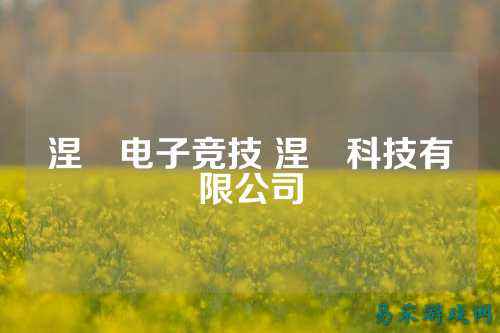 涅槃电子竞技 涅槃科技有限公司