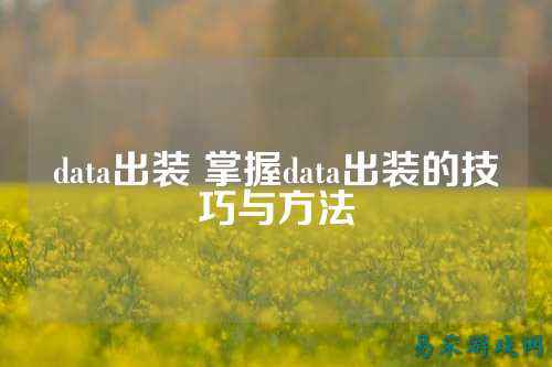 data出装 掌握data出装的技巧与方法