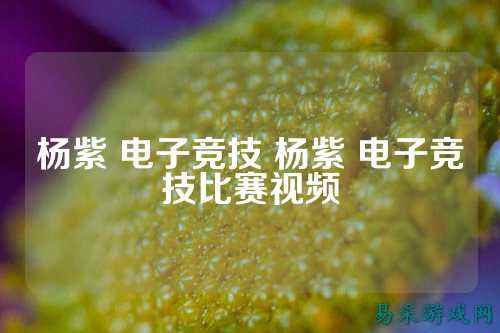 杨紫 电子竞技 杨紫 电子竞技比赛视频