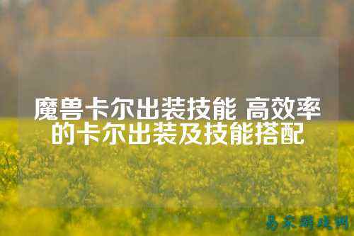 魔兽卡尔出装技能 高效率的卡尔出装及技能搭配