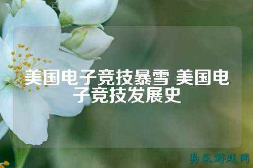 美国电子竞技暴雪 美国电子竞技发展史