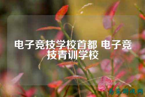 电子竞技学校首都 电子竞技青训学校