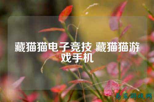 藏猫猫电子竞技 藏猫猫游戏手机
