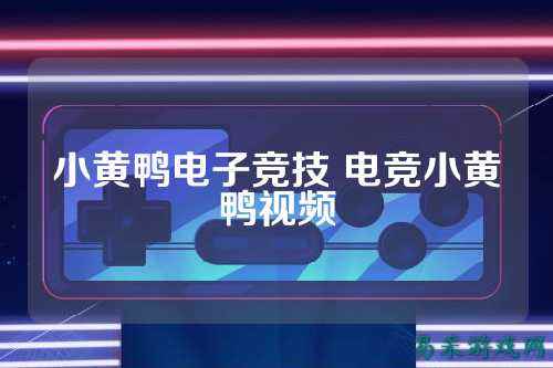 小黄鸭电子竞技 电竞小黄鸭视频