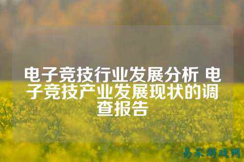 电子竞技行业发展分析 电子竞技产业发展现状的调查报告
