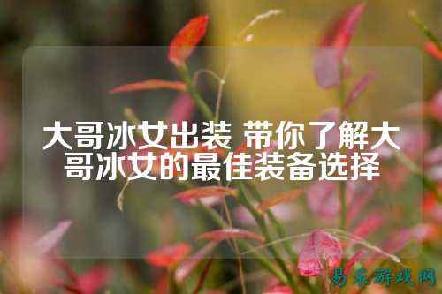 大哥冰女出装 带你了解大哥冰女的最佳装备选择