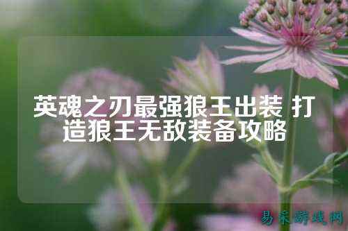 英魂之刃最强狼王出装 打造狼王无敌装备攻略