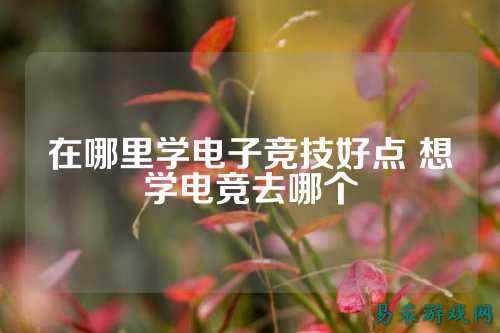 在哪里学电子竞技好点 想学电竞去哪个