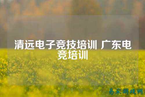 清远电子竞技培训 广东电竞培训