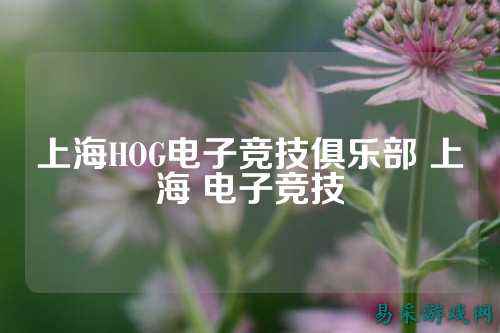 上海HOG电子竞技俱乐部 上海 电子竞技