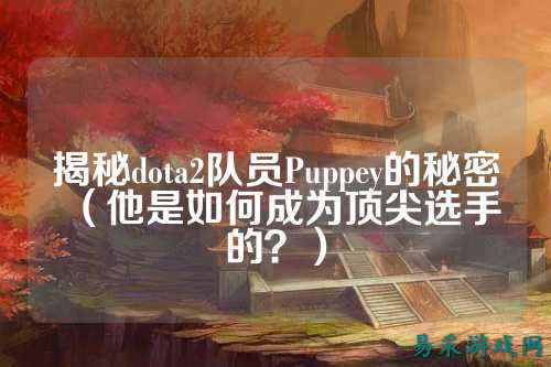 揭秘dota2队员Puppey的秘密（他是如何成为顶尖选手的？）