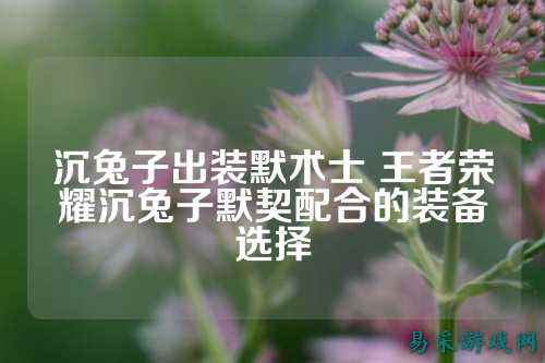 沉兔子出装默术士 王者荣耀沉兔子默契配合的装备选择